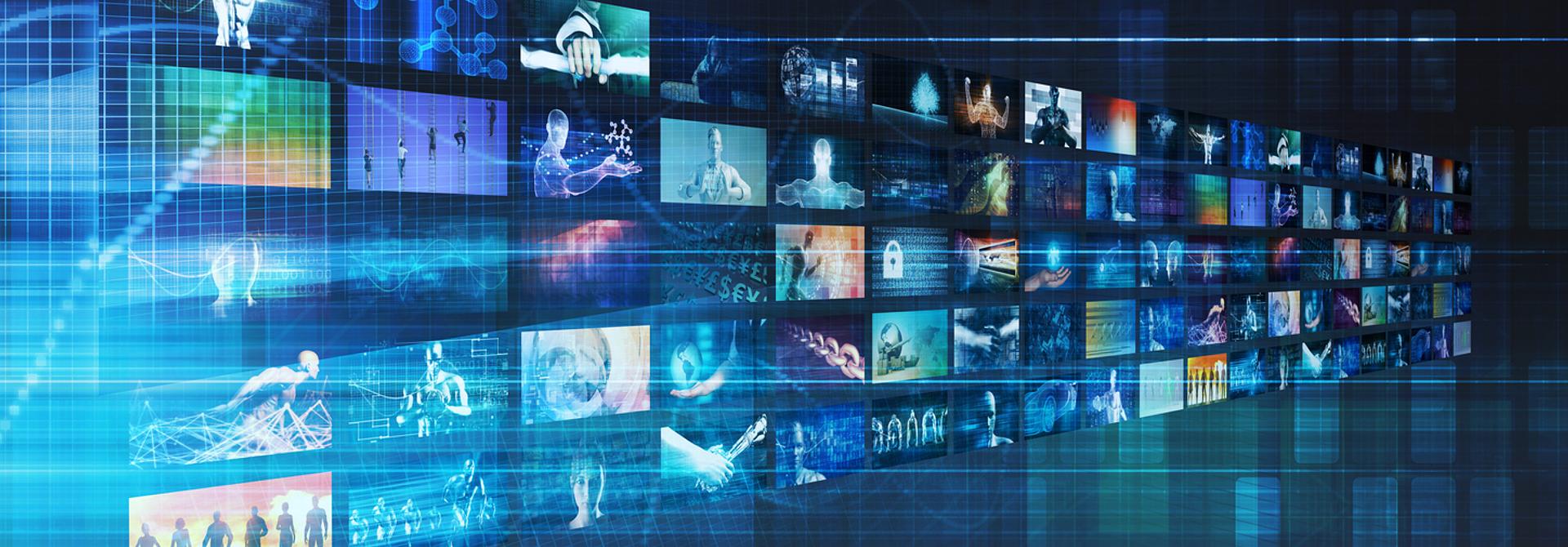 TheCircularCampus  - Biblioteca